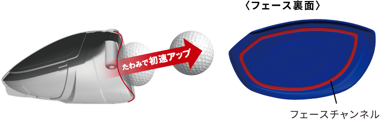 フェース裏面