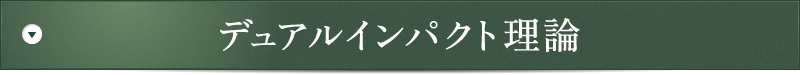 ディアルインパクト理論