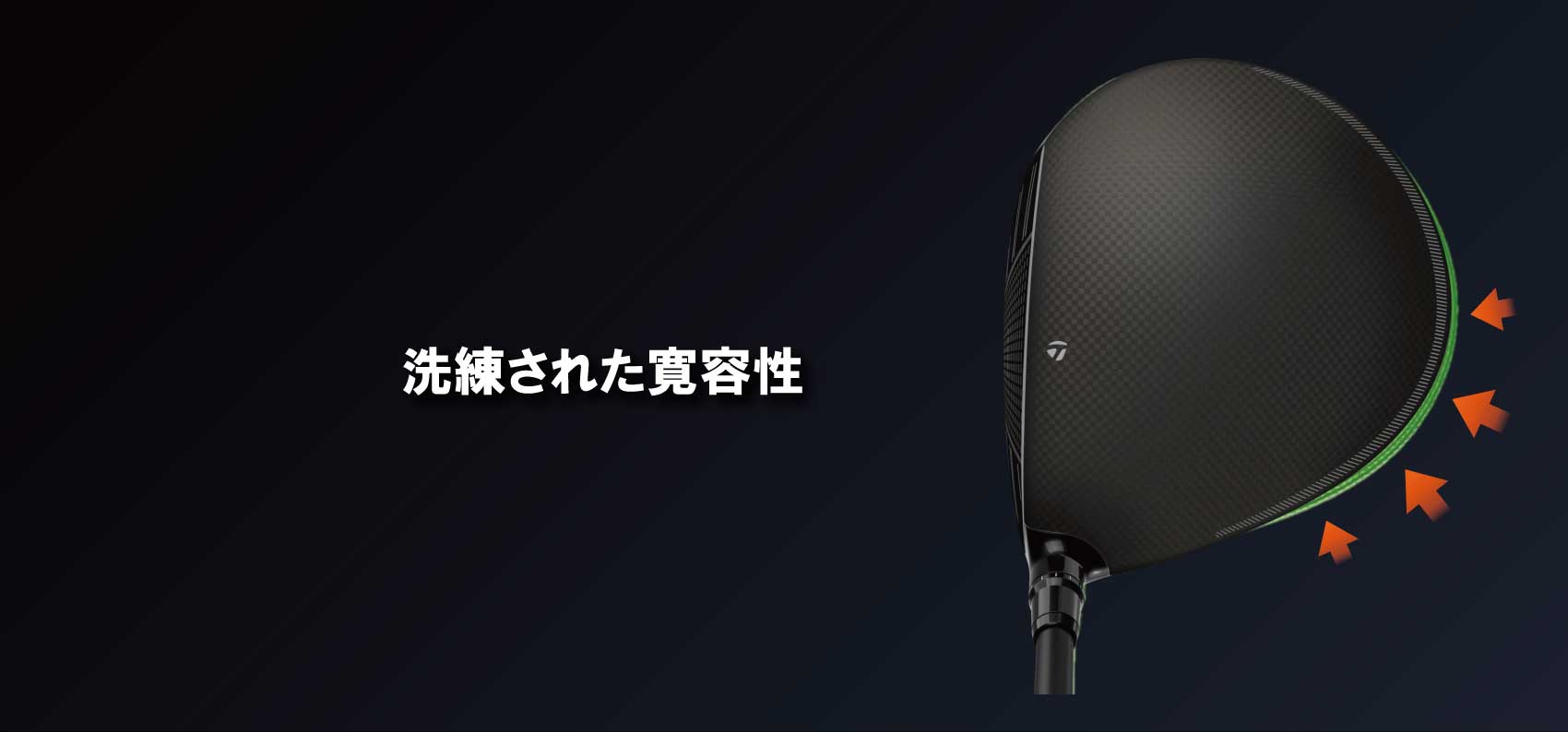 洗練された寛容性