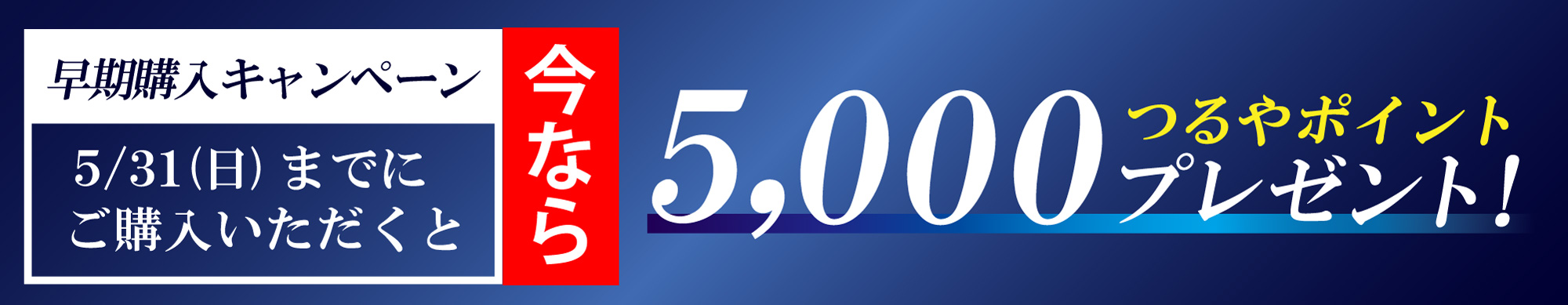 早期購入キャンペーン