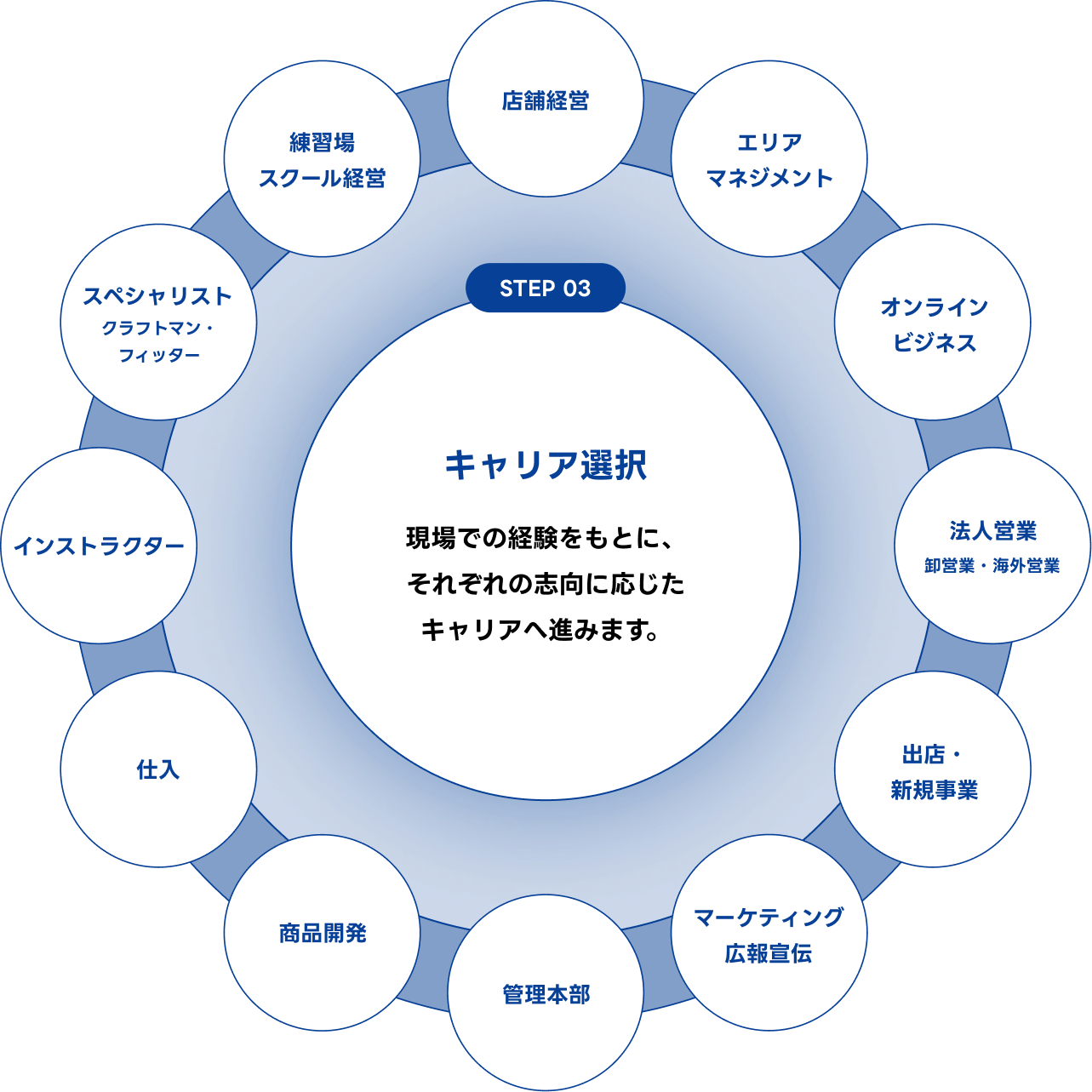 入社後のキャリア