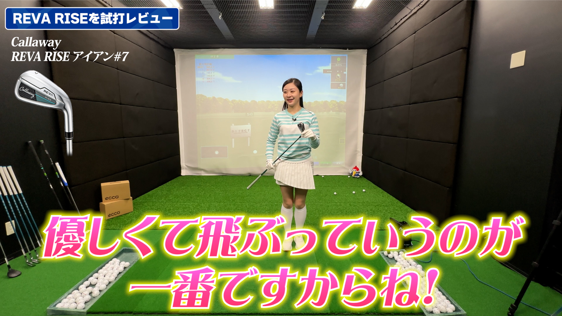 アイアンはやさしくて飛ぶ