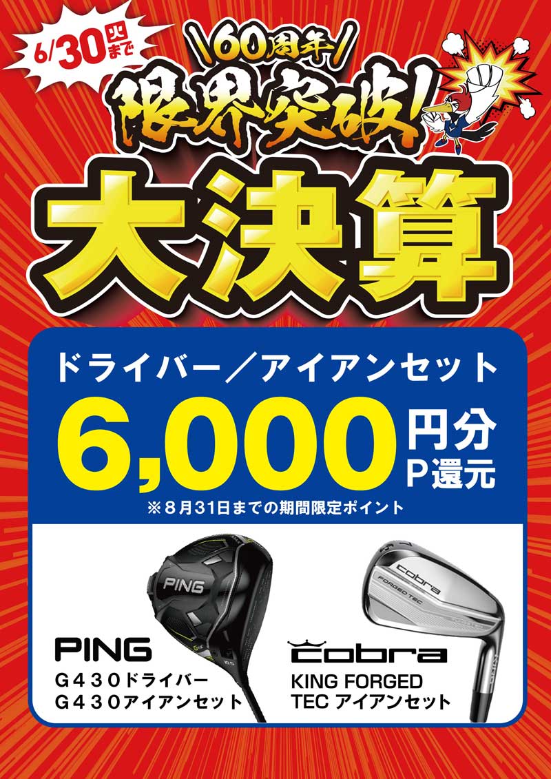 対象のドライバー/アイアンセット6,000円分つるやポイント還元。